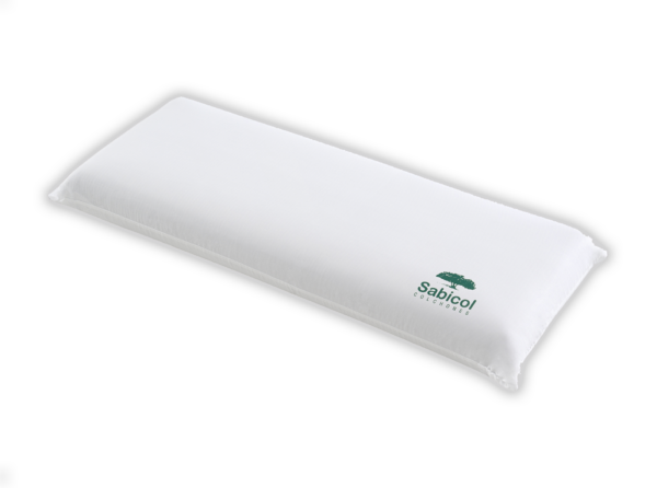 Carbono